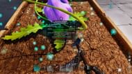 Elderclaw growing (Image via Studio Wildcard | YouTube/Syntac)